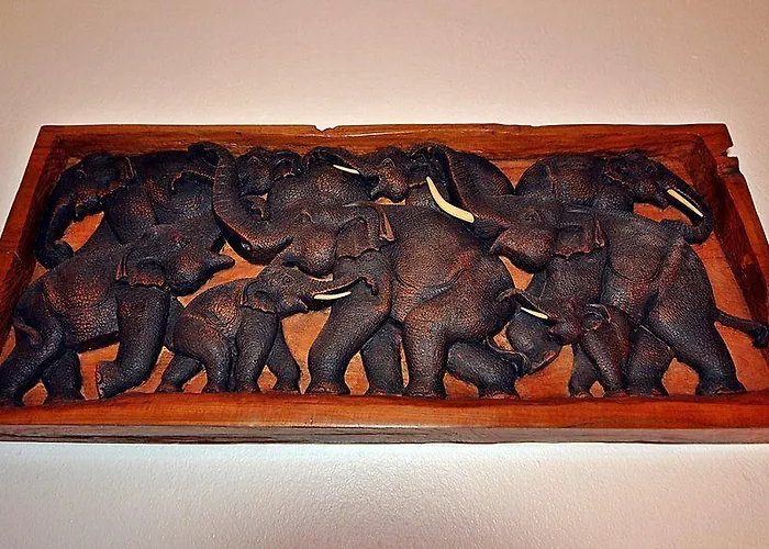 席尔布劳公寓酒店 *